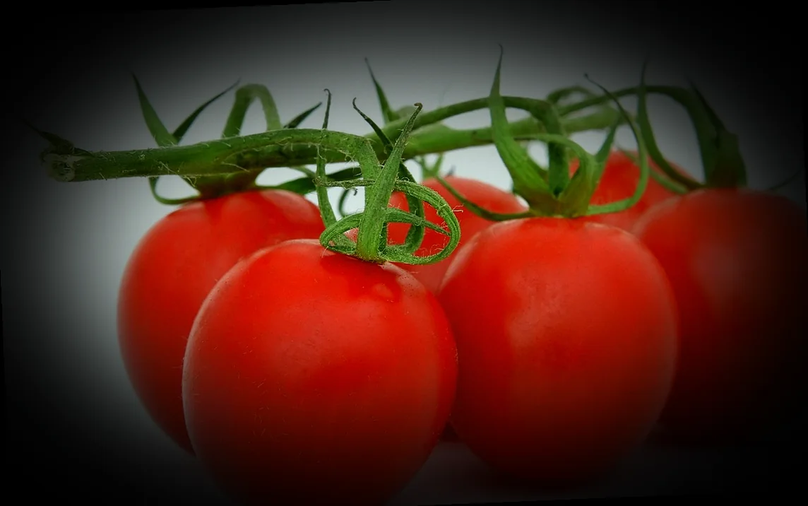 ավանդական աղցաններ հայկական խոհանոցում 10