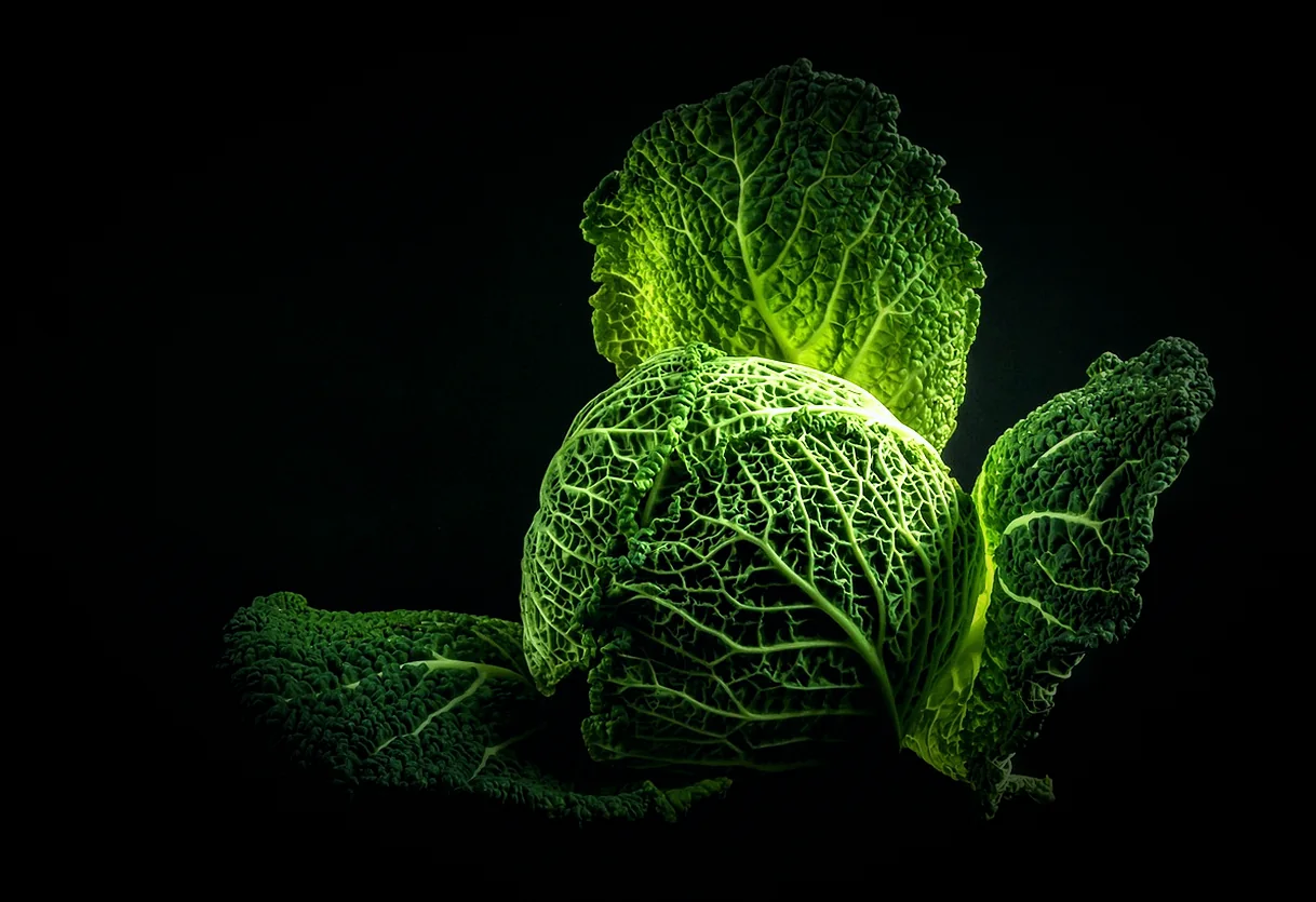 Պանիրն ավելացնելը - ավանդական աղցաններ հայկական խոհանոցում