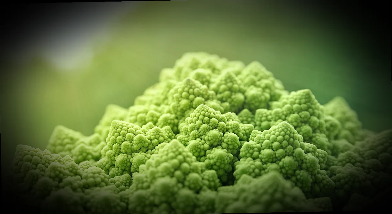 ավանդական աղցաններ հայկական խոհանոցում 6