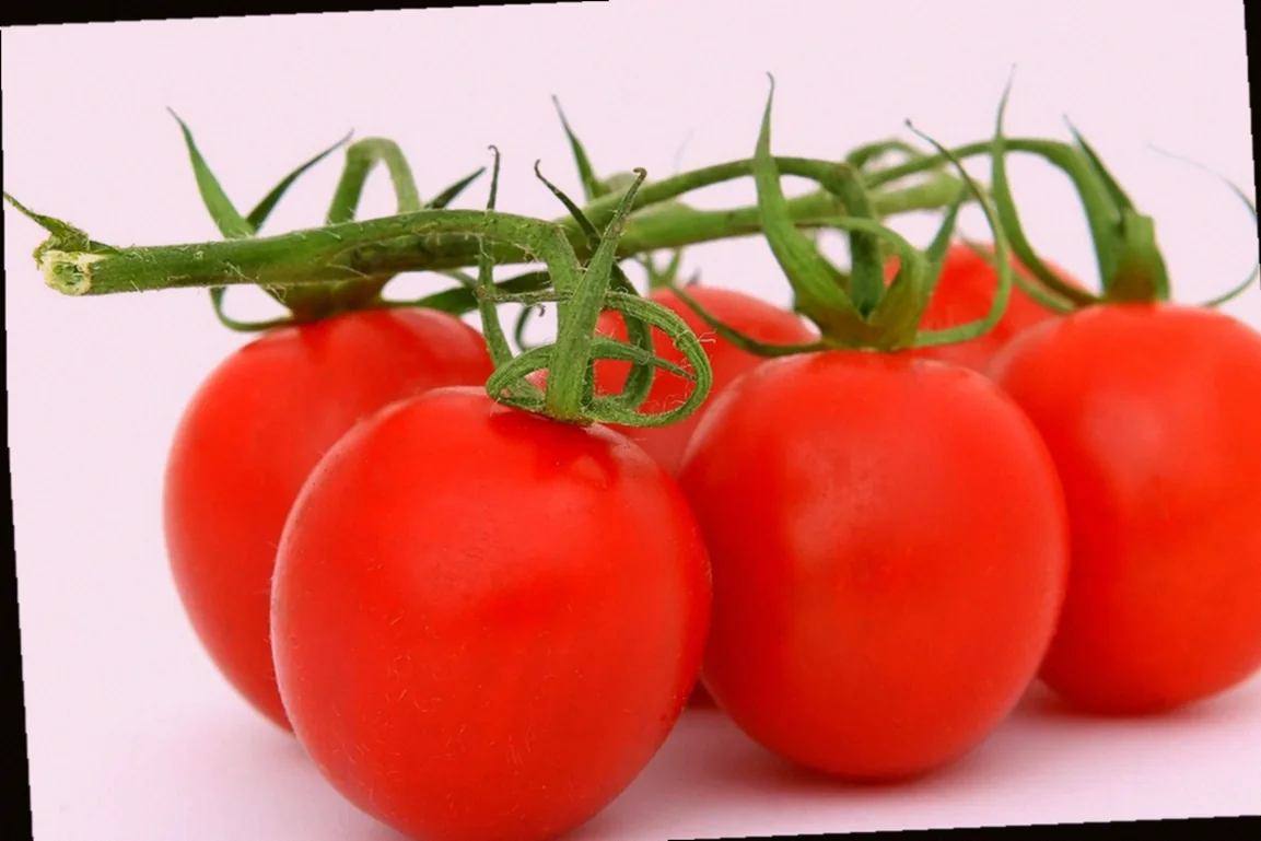 ավանդական ճաշատեսակների մատուցում 10