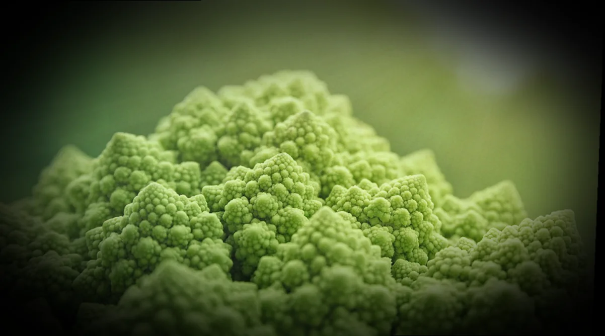 ավանդական ճաշատեսակների մատուցում 6