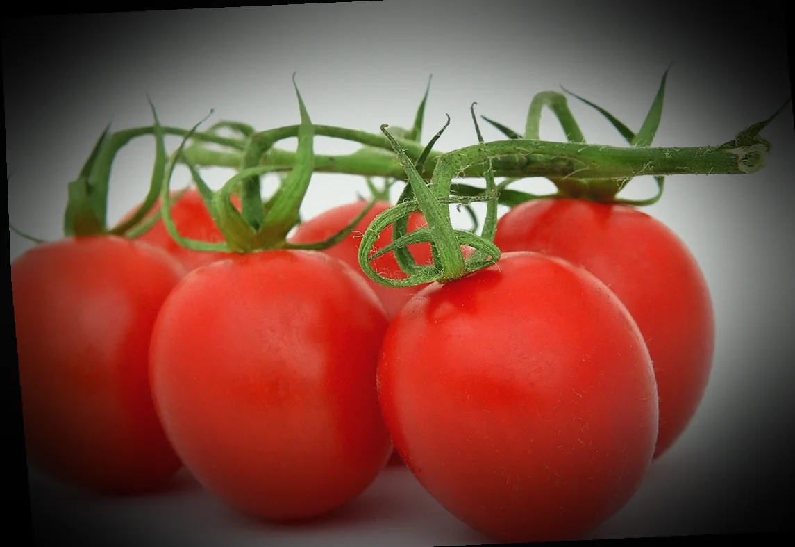 բամիայի պատրաստման տարբեր եղանակներ 10