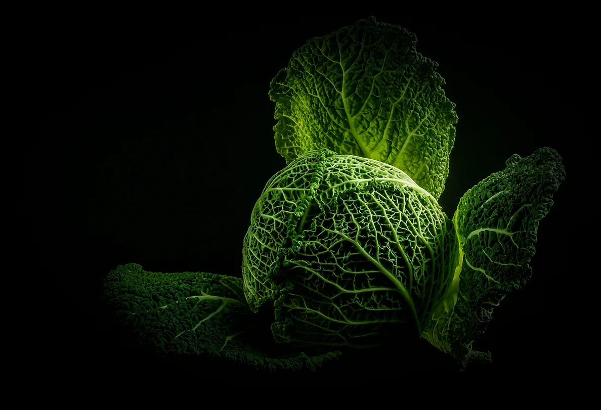 Բամիայի տապակում - բամիայի պատրաստման տարբեր եղանակներ