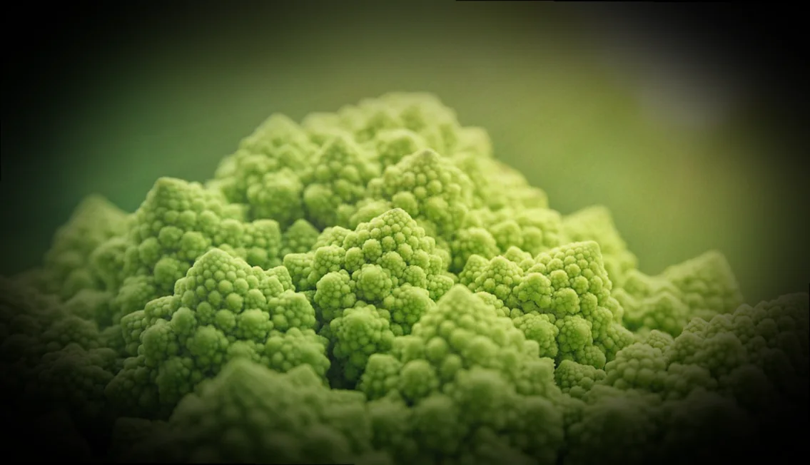 բամիայի պատրաստման տարբեր եղանակներ 6