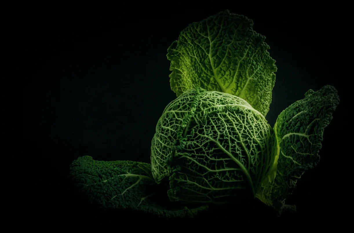 Կրեմի պատրաստում - բեզե տորթի հայկական տարբերակներ