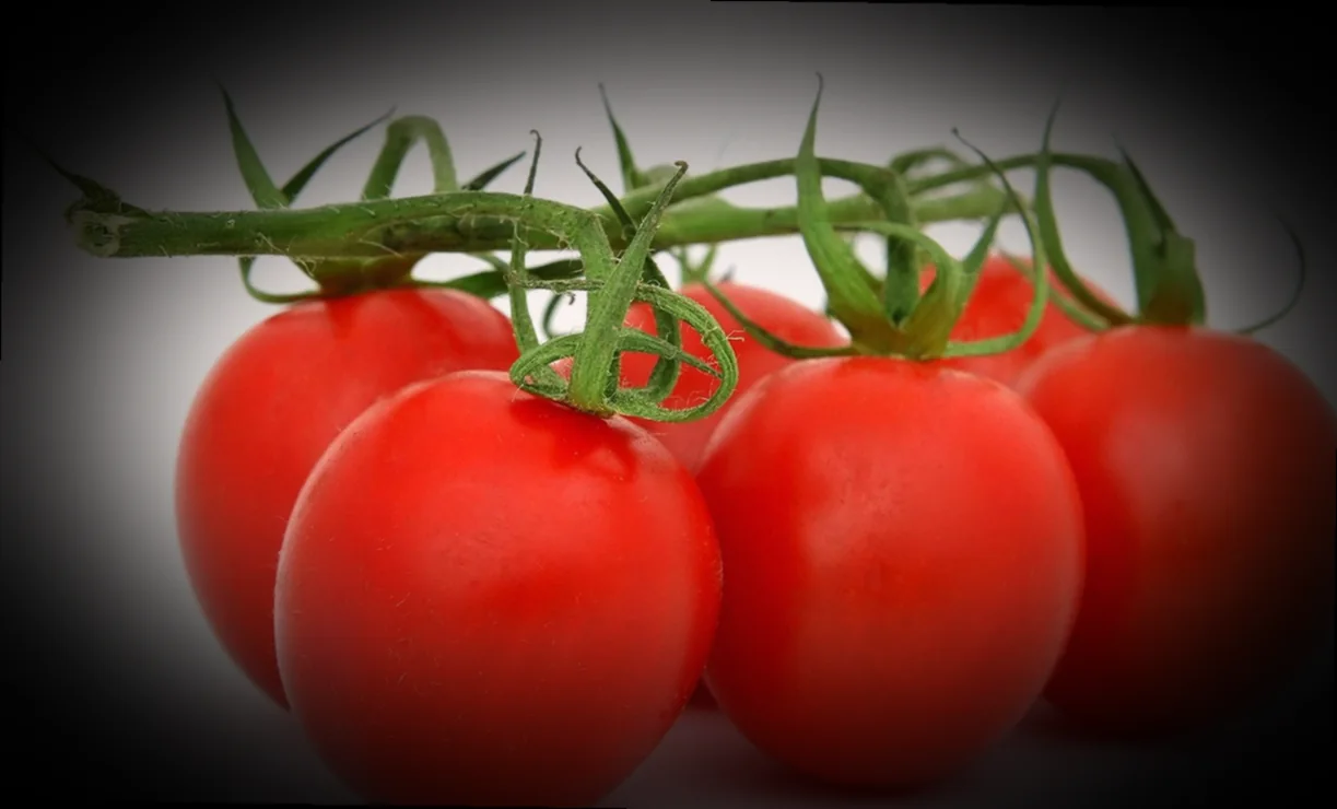 ղավուրմայի պատրաստումը տանը՝ հեշտ եղանակ 10