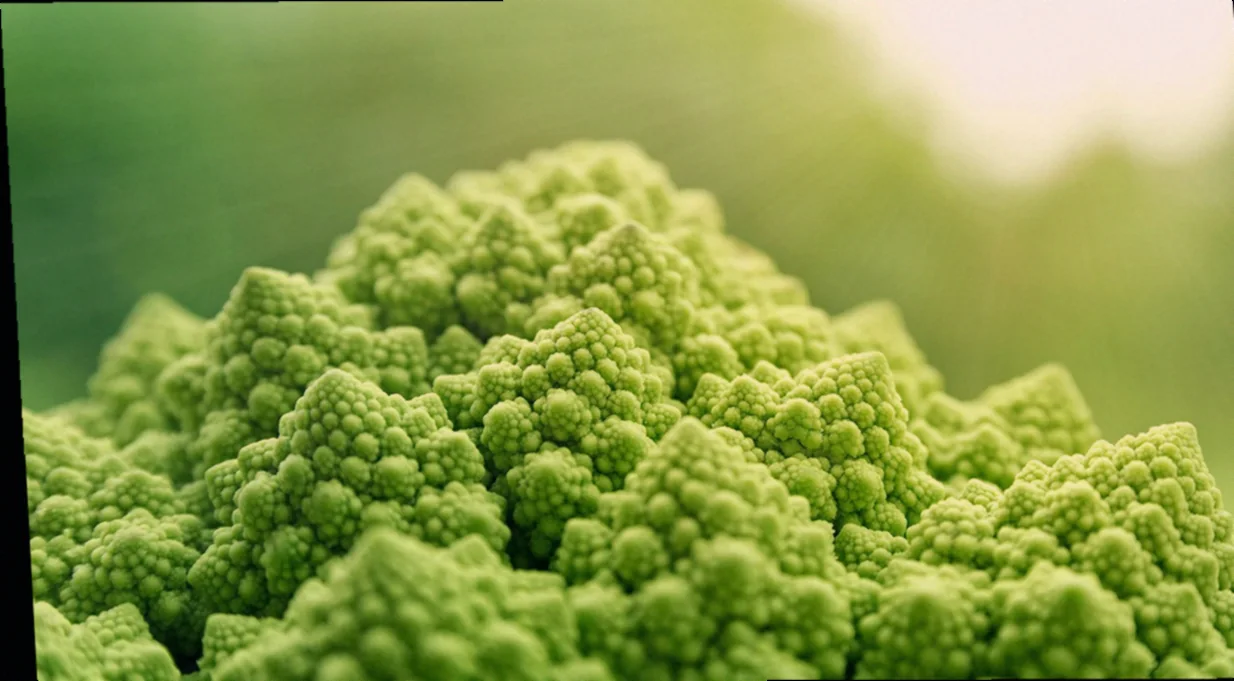 ղավուրմայի պատրաստումը տանը՝ հեշտ եղանակ 6