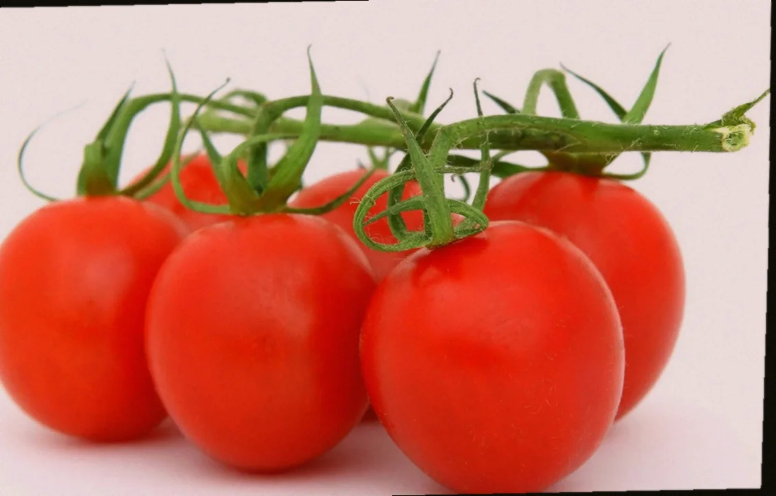 հայկական ավանդական չրեր բաղադրատոմսեր 10