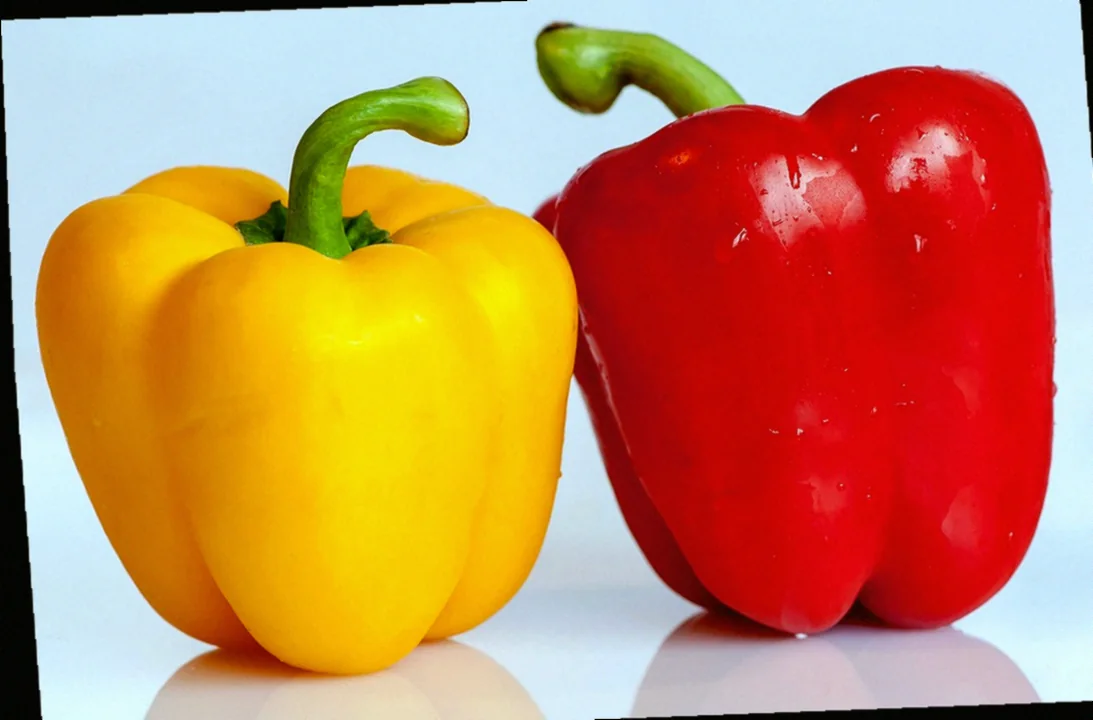 հայկական տոլմայի տարբեր տեսակների բաղադրատոմսեր հայկական ոճով 11