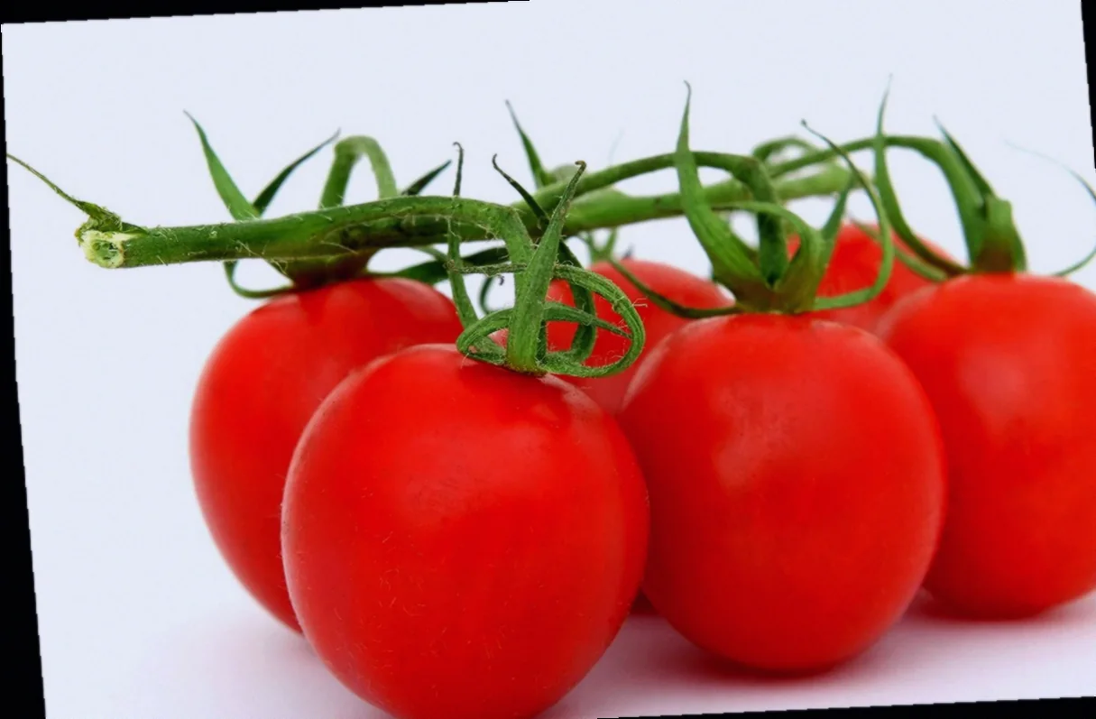 հայկական տորթերի բաղադրատոմս 10