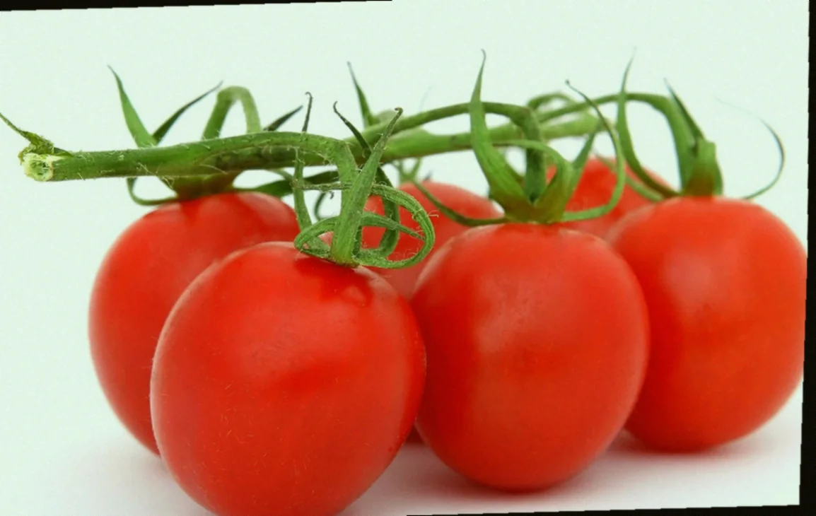 ինչպես փաթաթել սարման առանց մսի 10