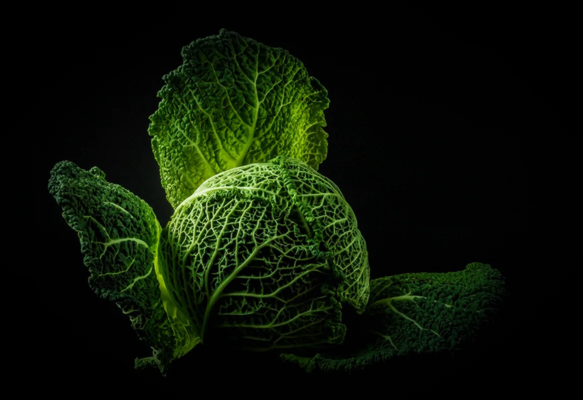 Բանջարեղենի պատրաստում - ինչպես փաթաթել սարման առանց մսի