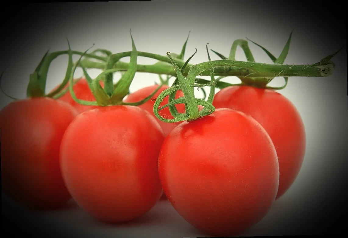 ինչպես պատրաստել ղավուրմա տանը 10