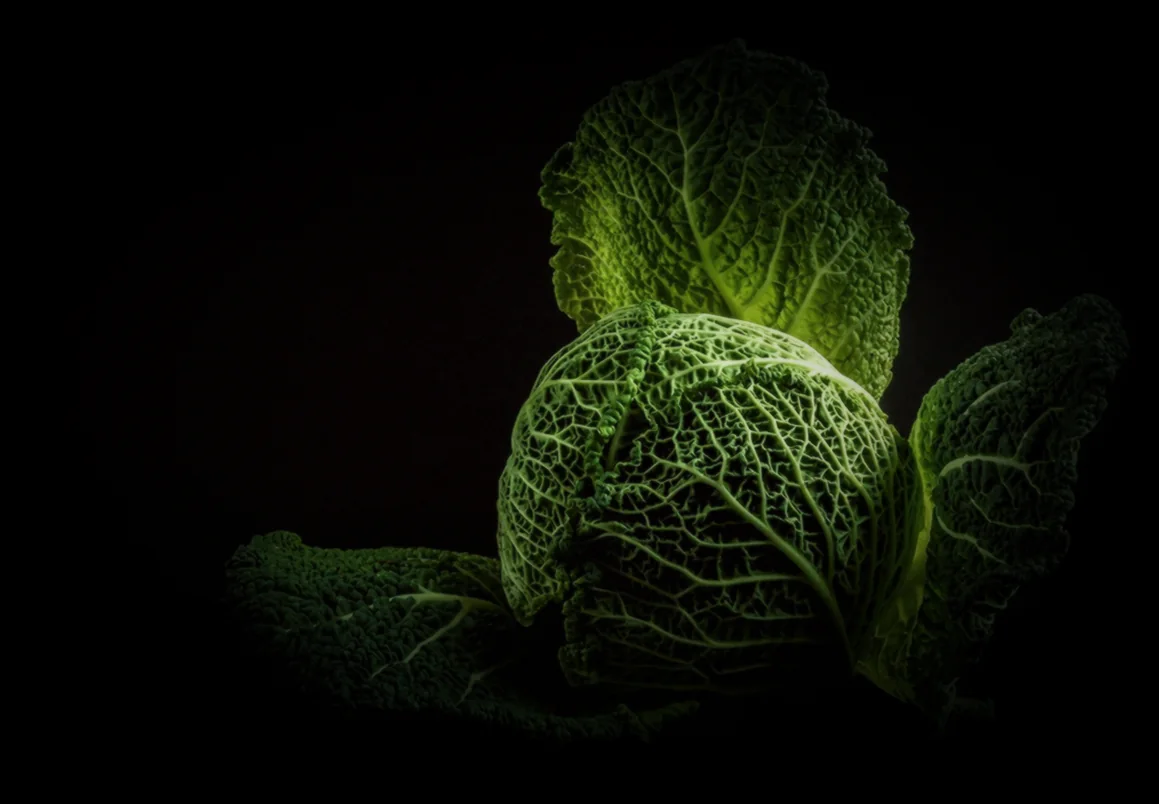 Խմոր պատրաստում - ինչպես պատրաստել ղավուրմա տանը