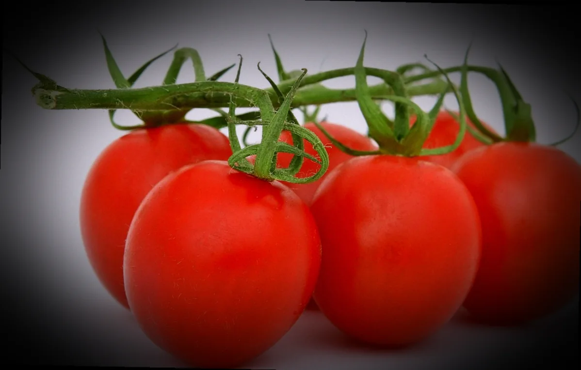 ինչպես պատրաստել հայկական տորթեր տանը և օգտագործել թխվածքի համար 10