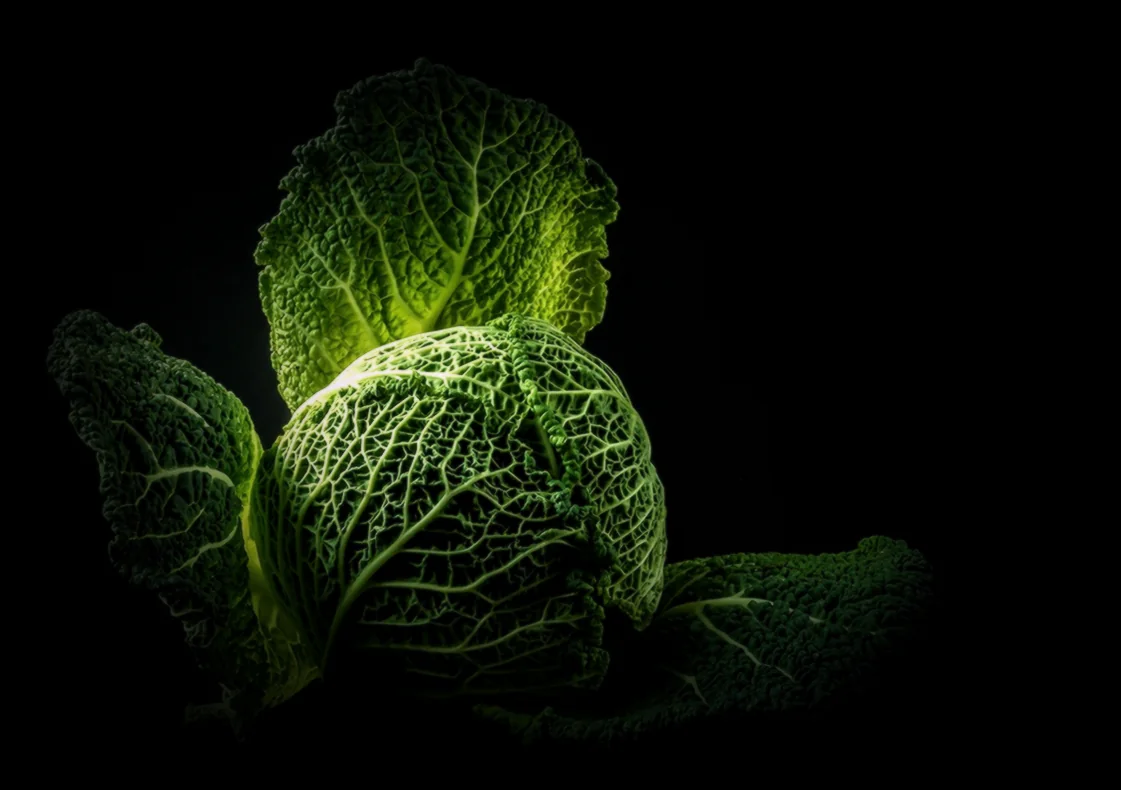 Խմորը բաժանել - ինչպես պատրաստել հայկական տորթեր տանը և օգտագործել թխվածքի համար