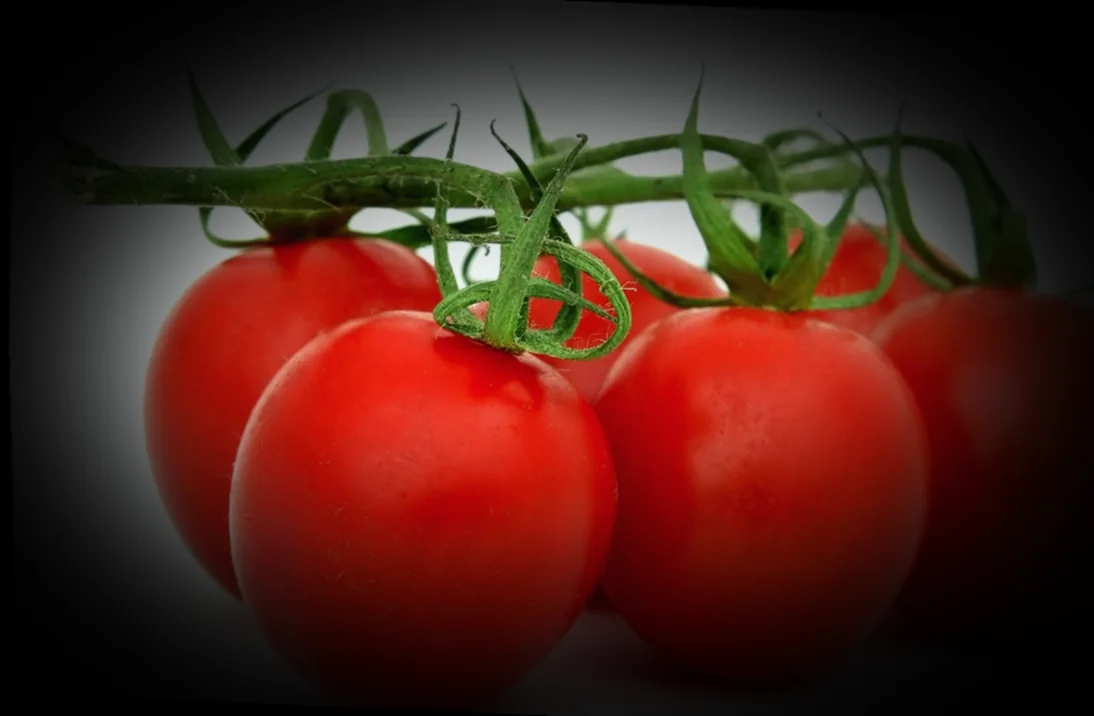 ինչպես պատրաստել լոլիկի հյութ տանը 10