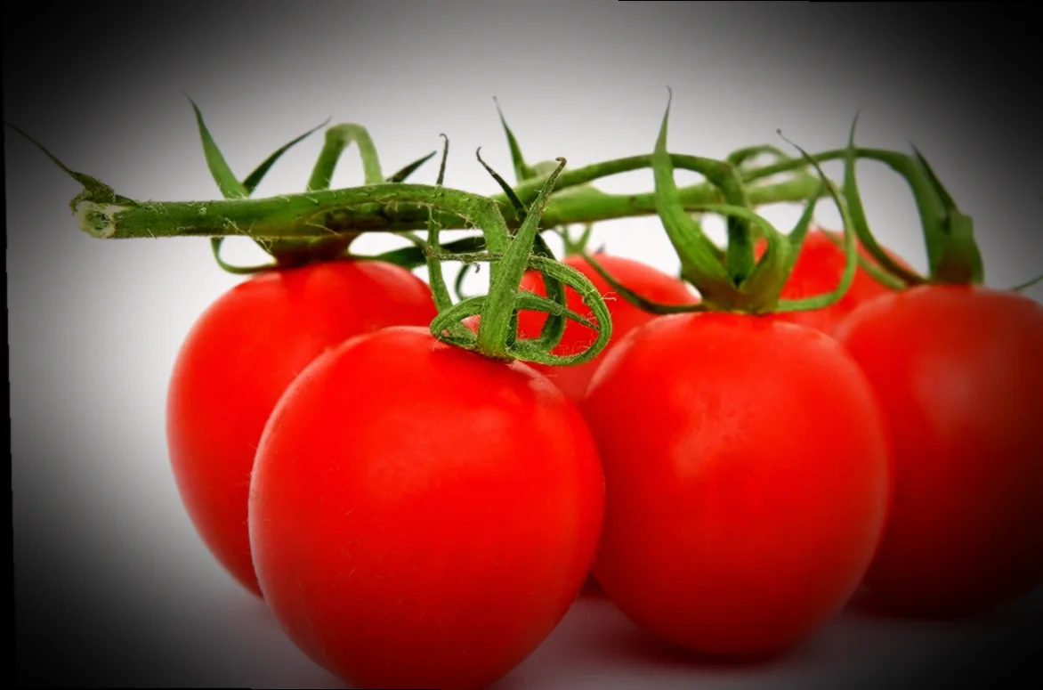 ինչպես պատրաստել սիբեխ տանը և խառնել սոճիին 10