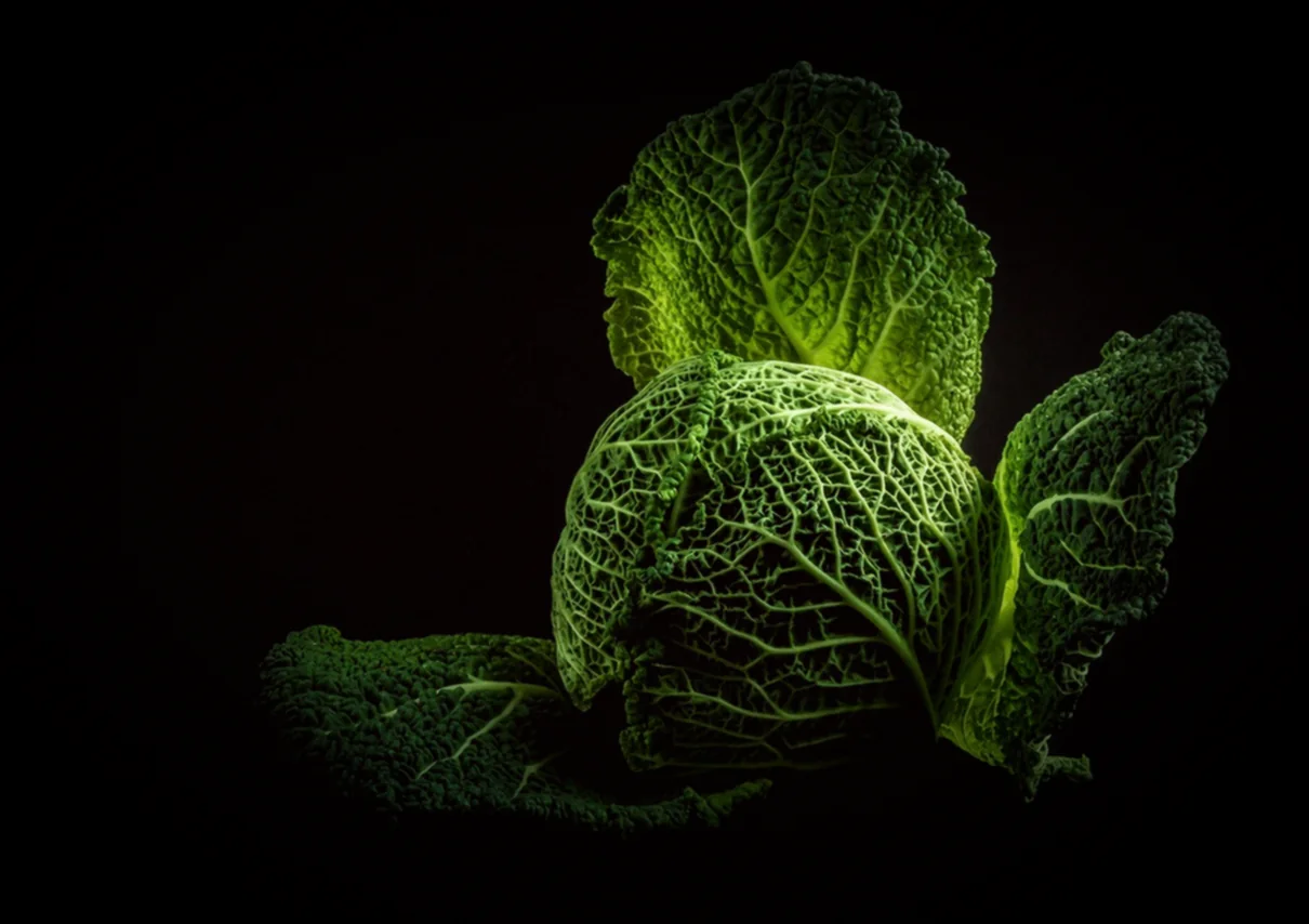 Խառնել բաղադրիչները - ինչպես պատրաստել սիբեխ տանը և խառնել սոճիին