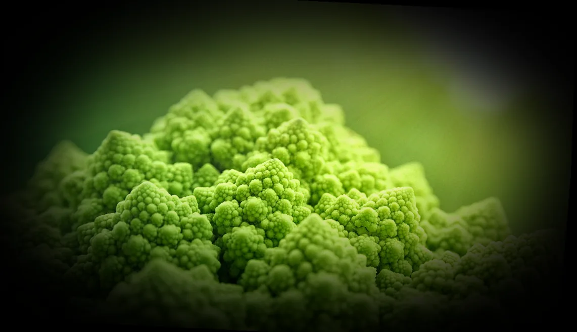 ինչպես պատրաստել սիբեխ տանը և խառնել սոճիին 6