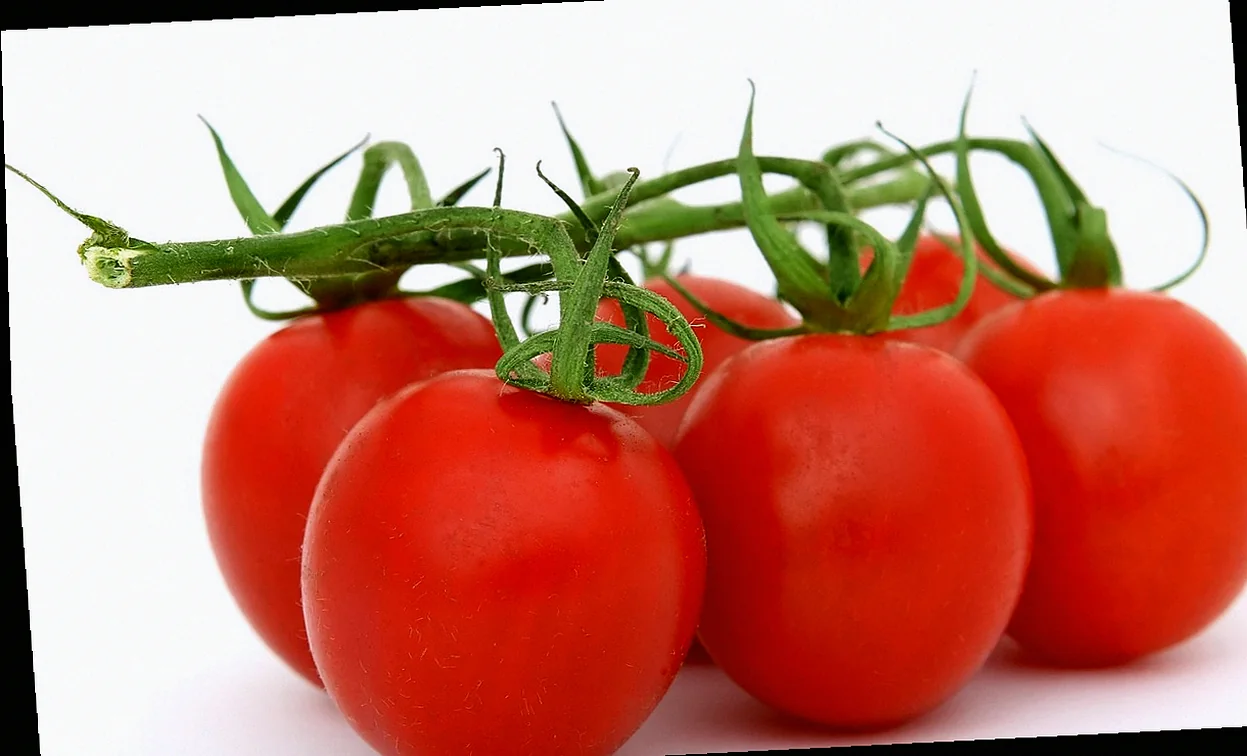 ինչպես պատրաստել տոմատի մածուկ առանց հավելումների 10