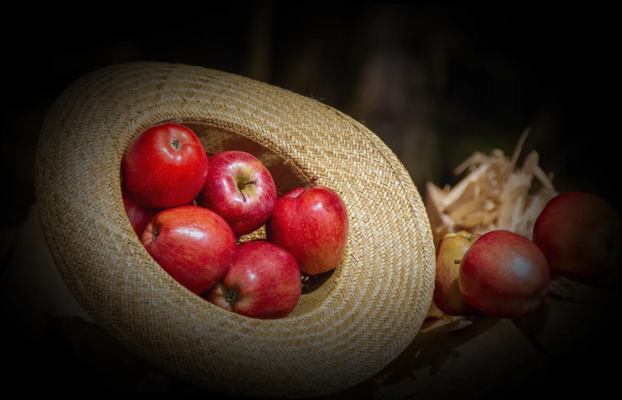 ինչպես պատրաստել ժենգյալով հաց պատրաստելու գաղտնիքները հaykakан баγадрaтomс
