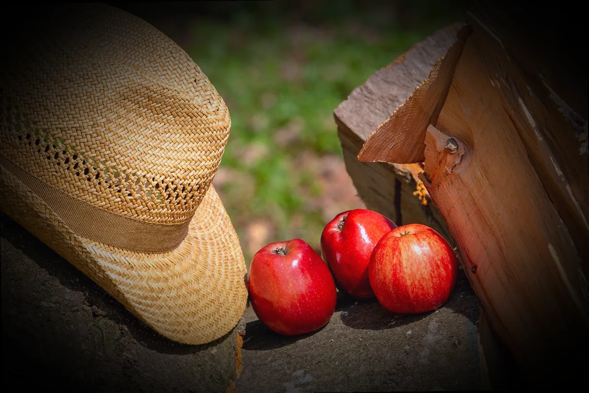 ինչպես պատրաստել ժենգյալով հաց պատրաստելու գաղտնիքները 10