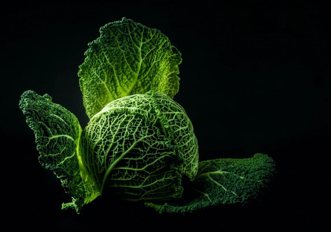 Քյուֆթայի ձևավորում - իշլի քյուֆթա