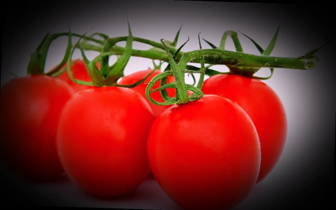 կաղամբով թթվի ջրի համար անհրաժեշտ բաղադրիչները 10