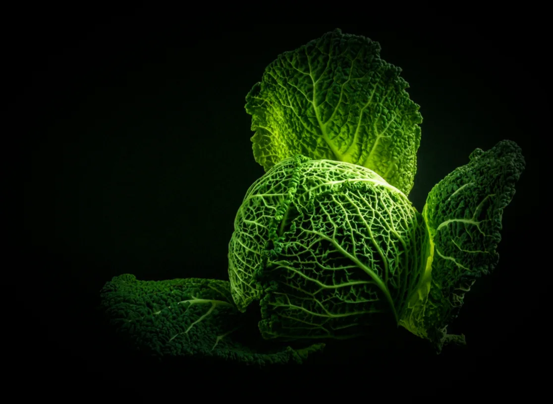 Բաղադրիչների ավելացում - կաղամբով թթվի ջրի համար անհրաժեշտ բաղադրիչները