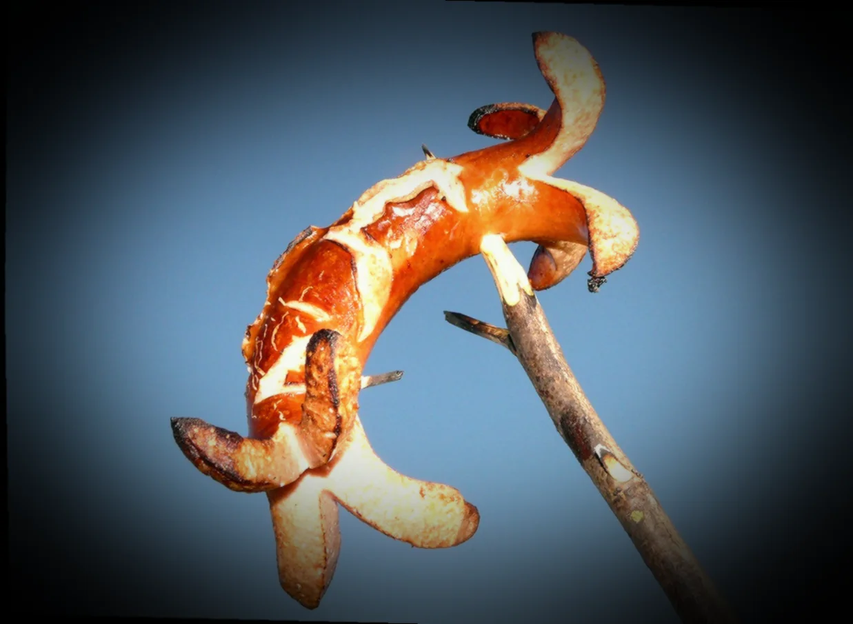 խորովածի պատրաստման եղանակներ 9