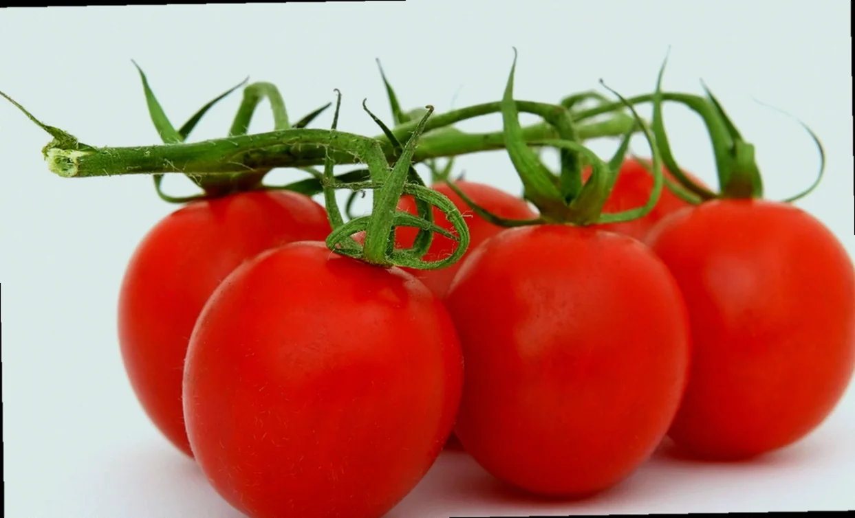 կորկոտապուրի համեղ բաղադրատոմս 10