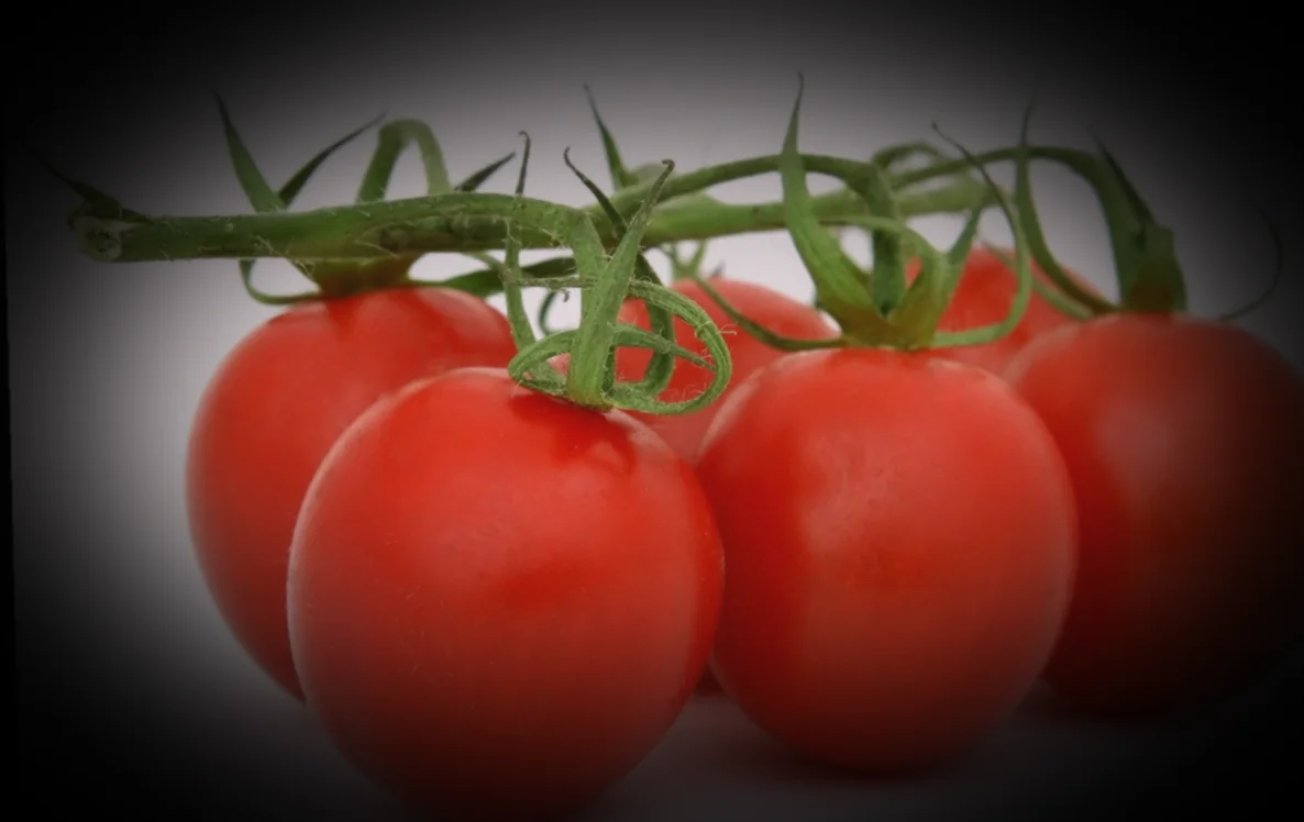 քյուֆթայի շարժումը Հայաստանում 10