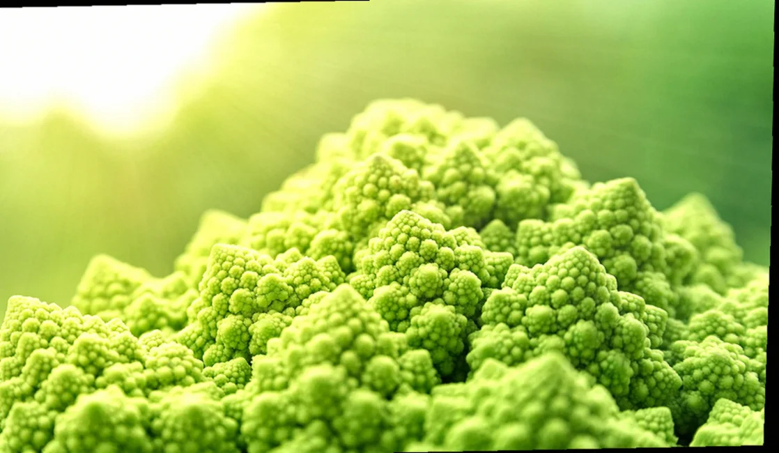 քյուֆթայի շարժումը Հայաստանում 6