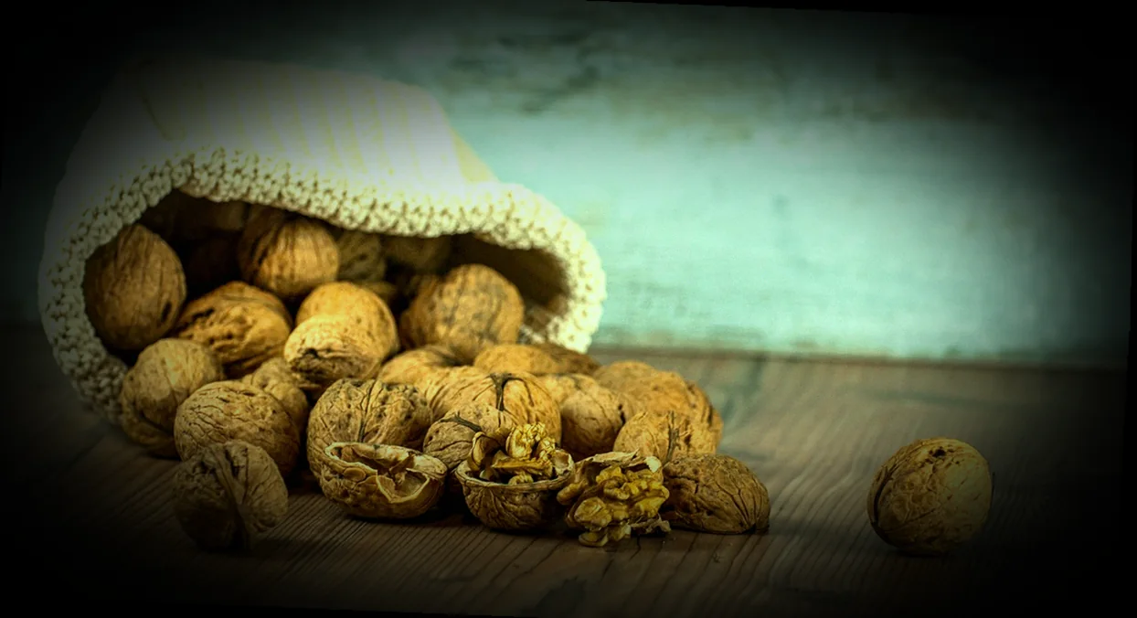 փախլավայի պատրաստման հրահանգներ մեղրով 9