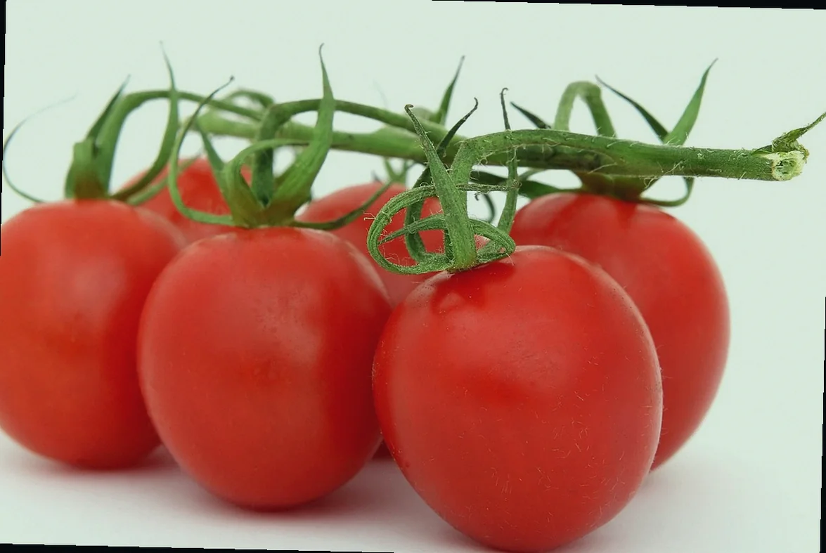 տապակած սիգ ձուկ 10