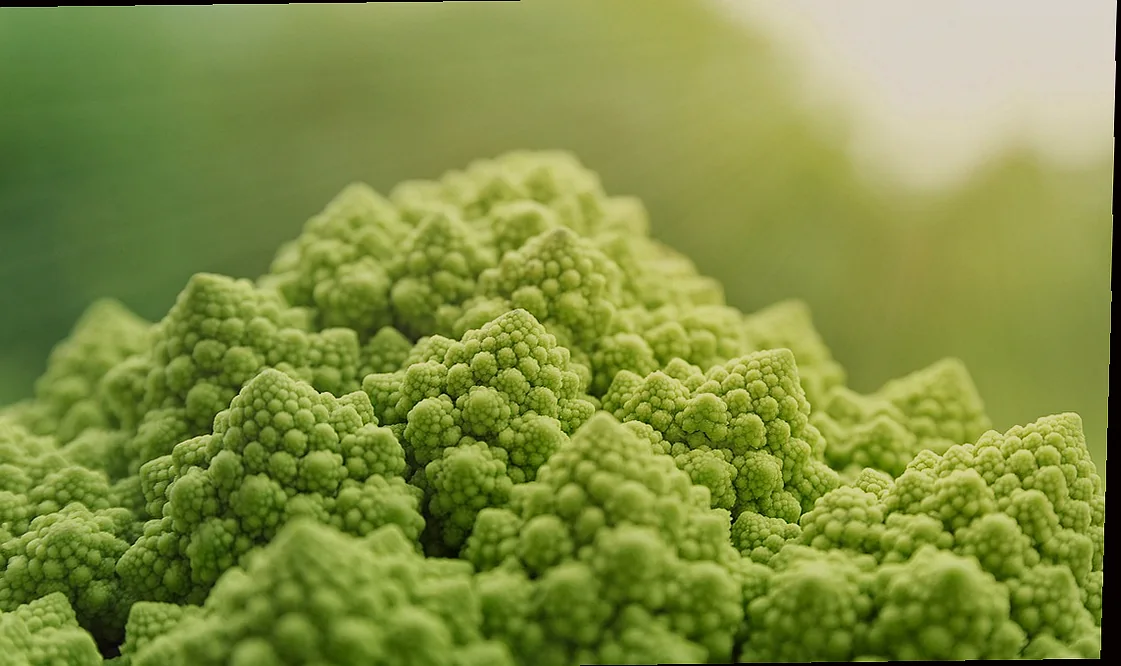 տապակած սիգ ձուկ 6