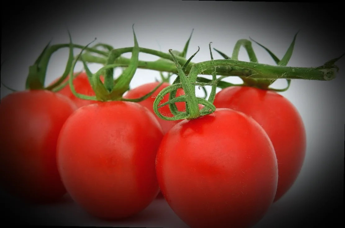 թթվասերով լցոնված պղպեղներ 10