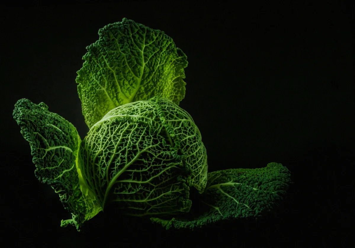 Լցոնել պղպեղները - թթվասերով լցոնված պղպեղներ