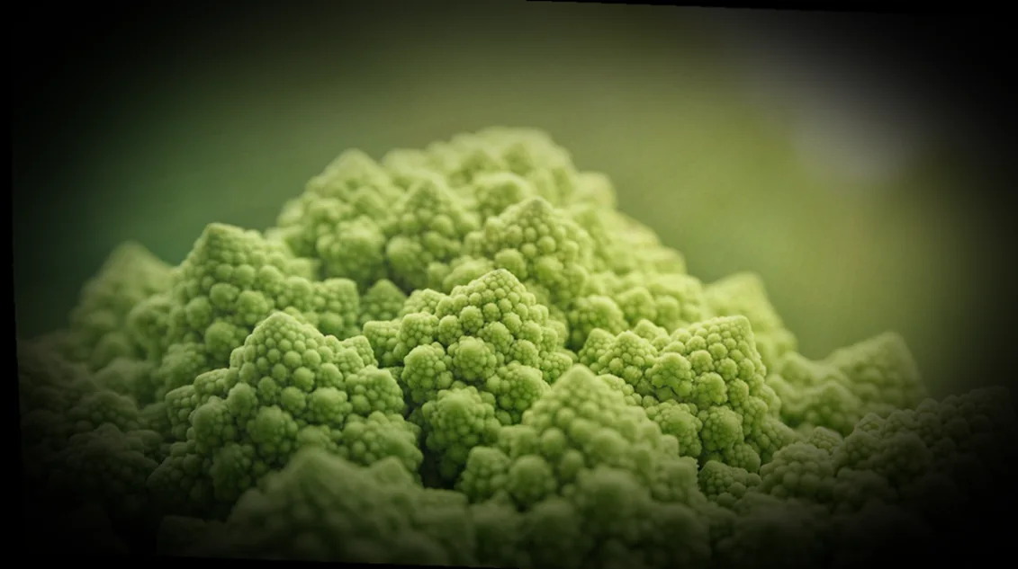 թթվասերով լցոնված պղպեղներ 6