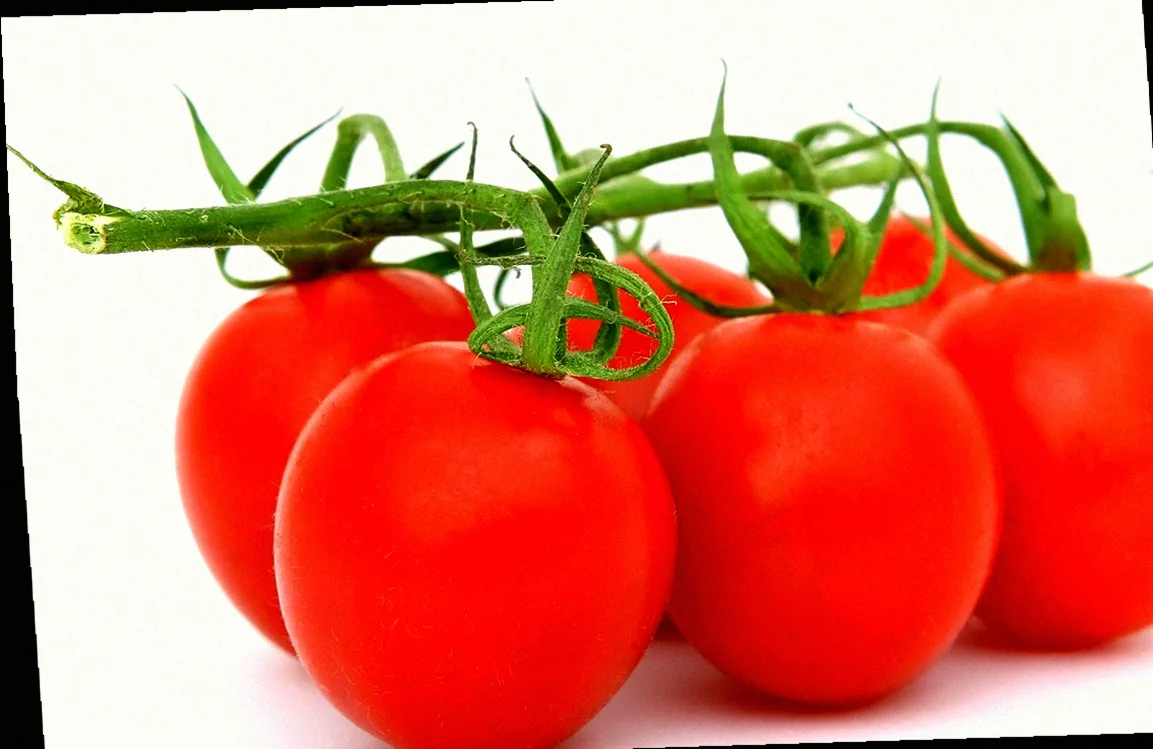 ուրցի և դաղձի համադրությունը հայկական խոհանոցում 10