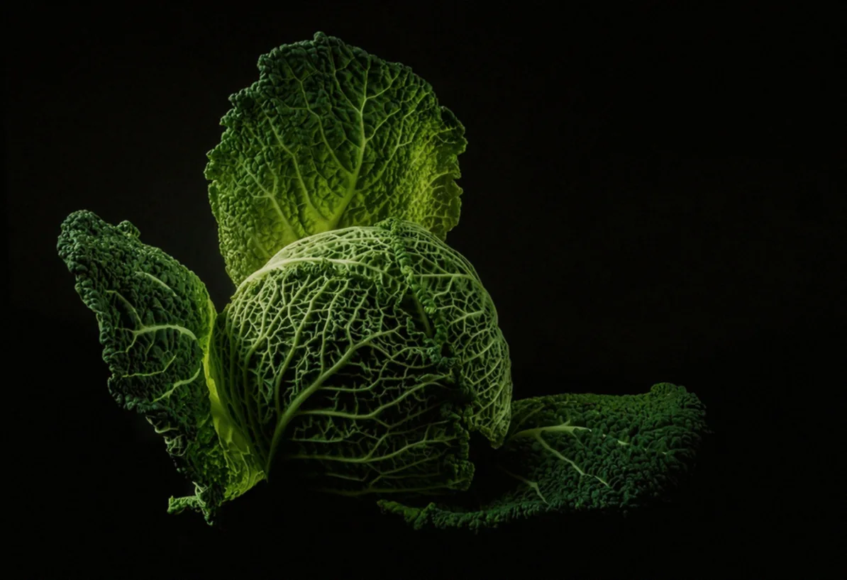 Դաղձի ավելացում - ուրցի և դաղձի համադրությունը հայկական խոհանոցում