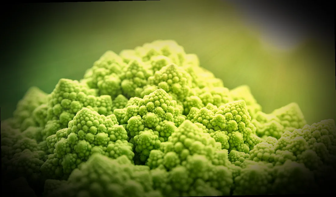 ուրցի և դաղձի համադրությունը հայկական խոհանոցում 6