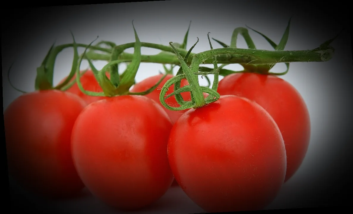 ժենգյալով հացի միջուկի բաղադրատոմս քայլ առ քայլ 10