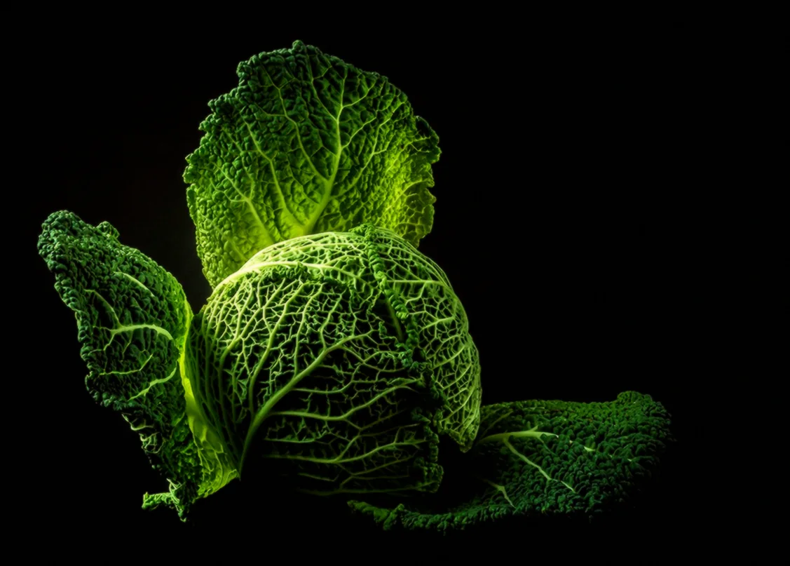 Ժենգյալը պատրաստել - ժենգյալով հացի միջուկի բաղադրատոմս քայլ առ քայլ