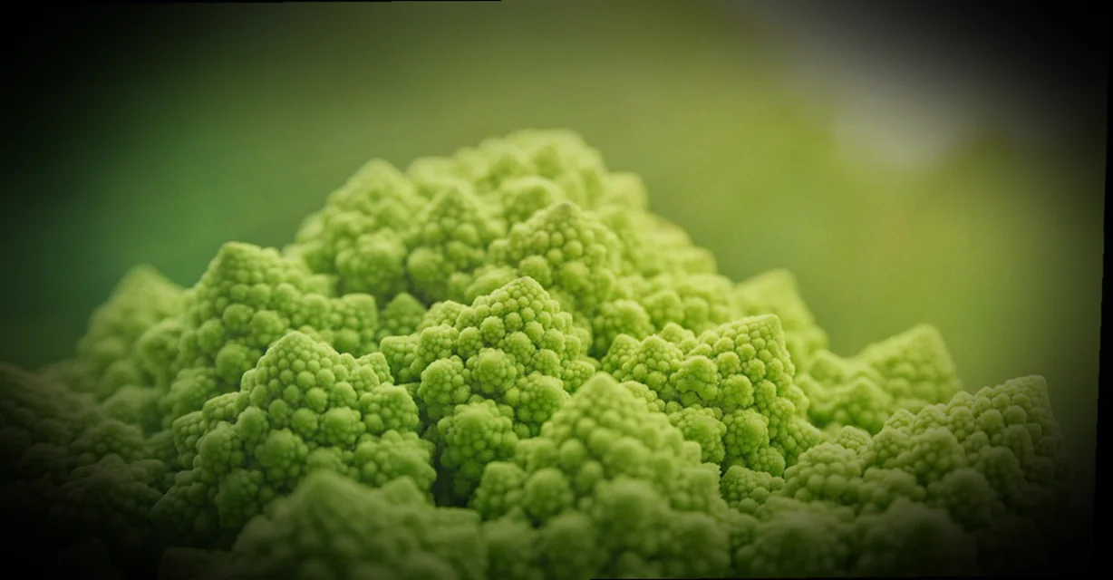 ժենգյալով հացի միջուկի բաղադրատոմս քայլ առ քայլ 6